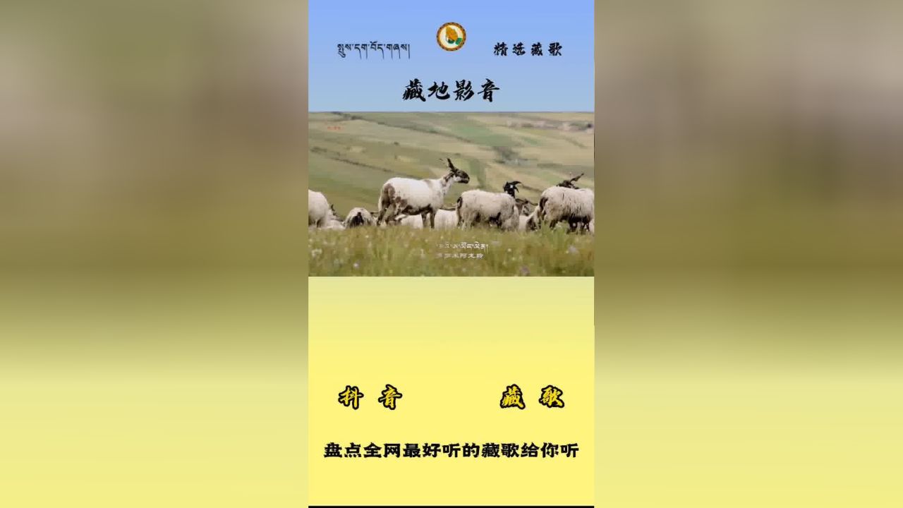 最新藏歌视频欣赏🎵✨