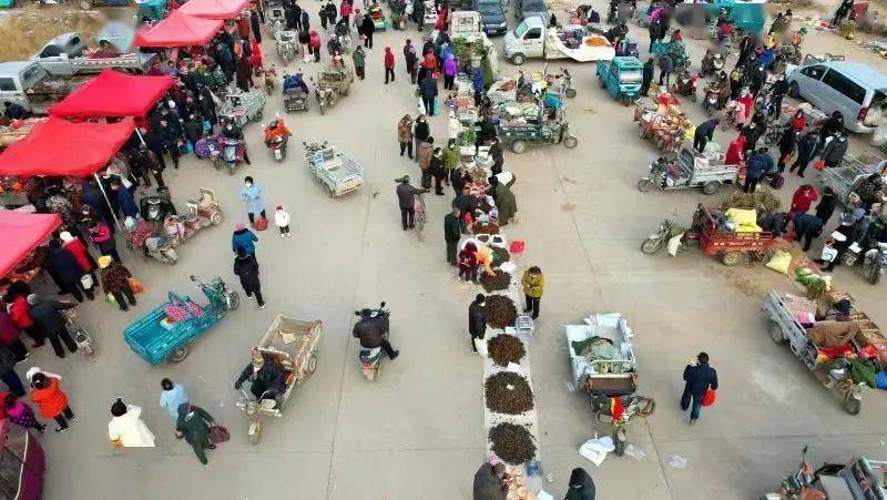衡水集市大全，最新集市信息一网打尽！