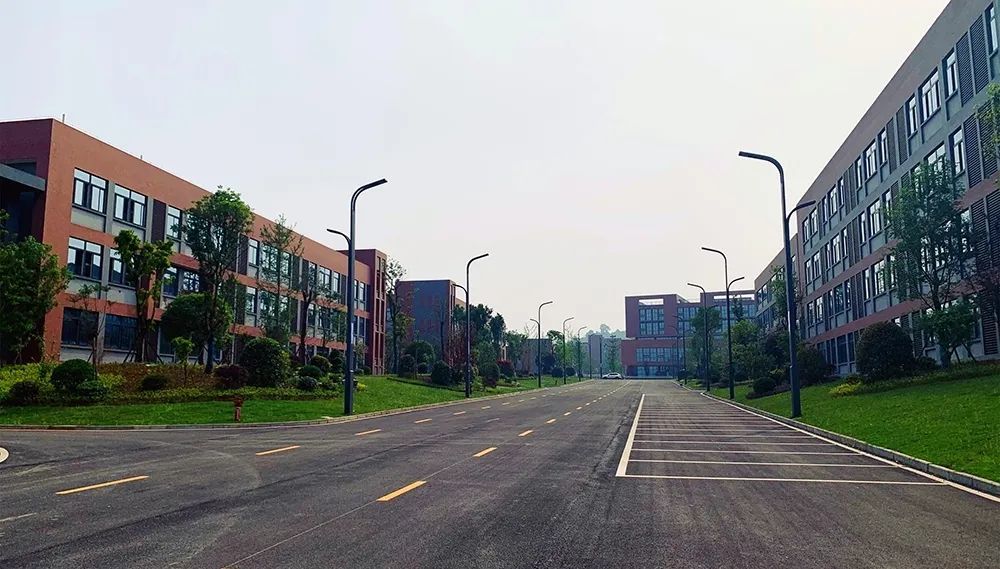 泸州校园事件最新动态更新，校园安全备受关注
