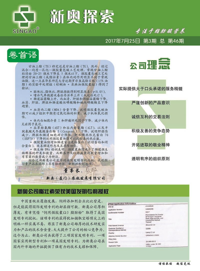 新奥最新资料单双大全,创新策略设计_万能版59.123
