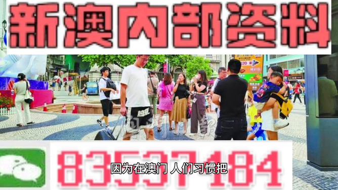 2024新澳门精准资料免费,精细化方案决策_拍照版32.491