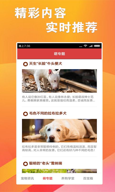 7777788888新版跑狗,新式数据解释设想_高配版3.296