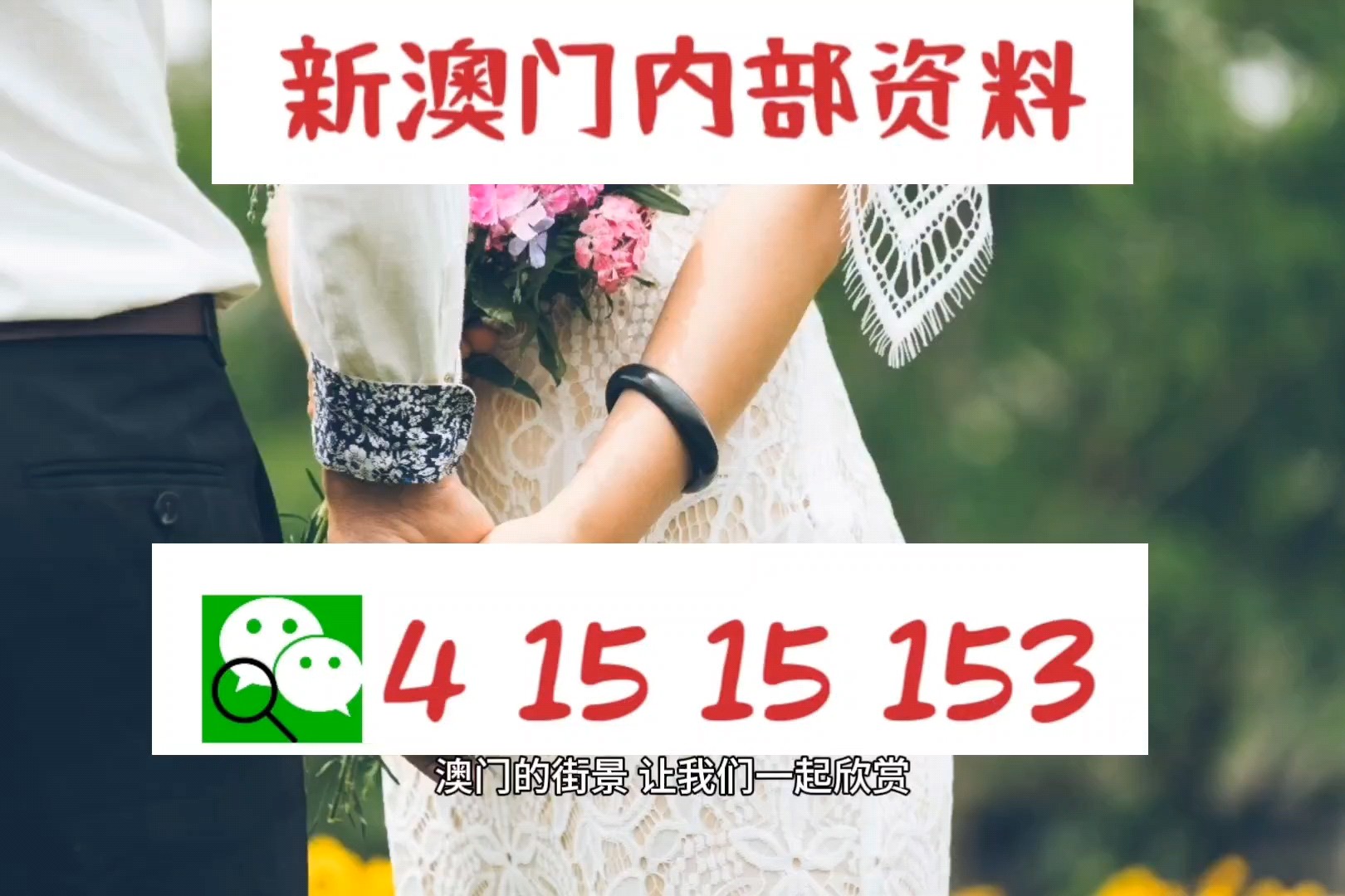 新澳门今天最新免费资料,即时解答解析分析_互助版81.309