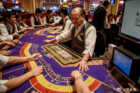 新澳门内部一码最精准公开,专业调查具体解析_时尚版83.501