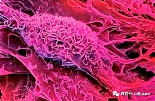 工程机械设备价格 第181页