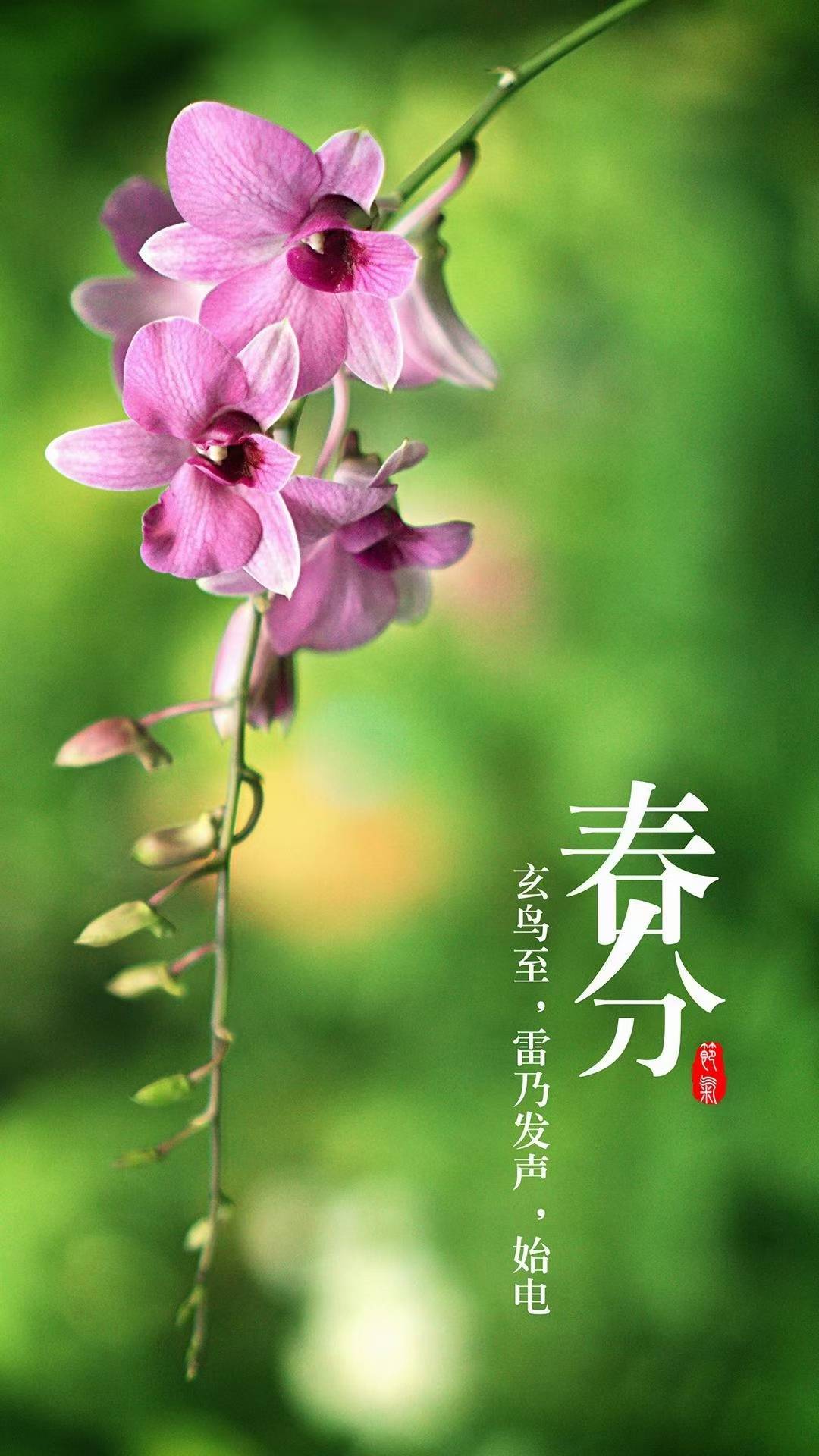 工程机械应急救援车 第57页