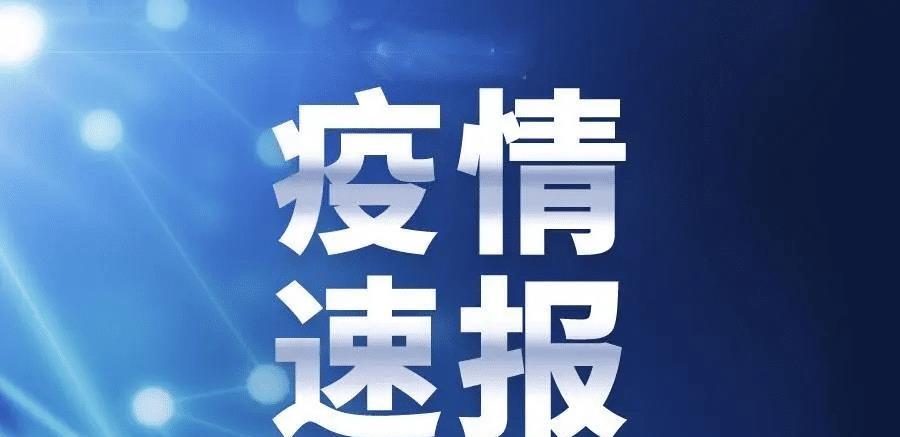 舞阳最新疫情背景、进展及影响全面解析