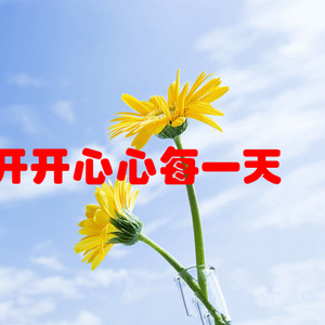 美最新动态，小巷深处的隐藏瑰宝探索
